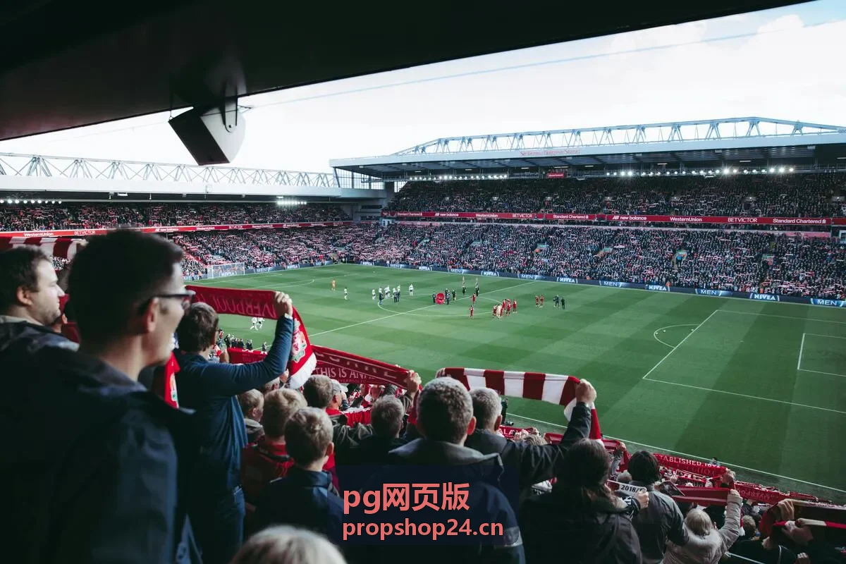 pg网页版操作布局自定义界面示意