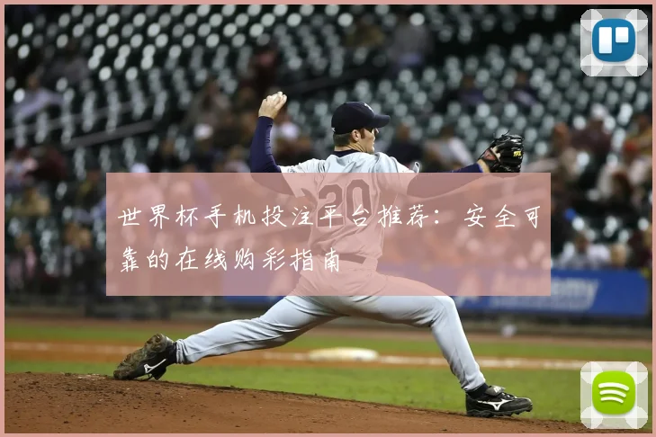 世界杯手机投注平台推荐：安全可靠的在线购彩指南