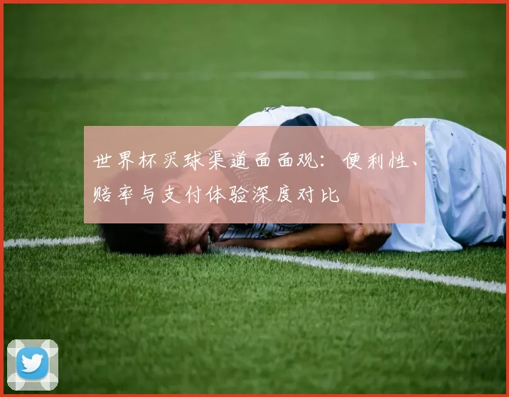 世界杯买球渠道面面观:便利性、赔率与支付体验深度对比